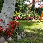 Kamien Baltyku *