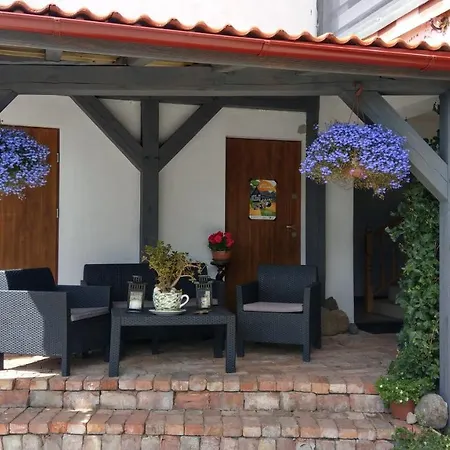 Kamien Baltyku * Debina (Ustka)