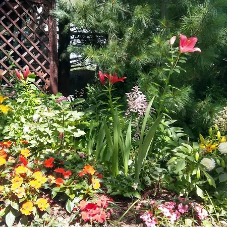 Privatunterkunft Kamien Baltyku *