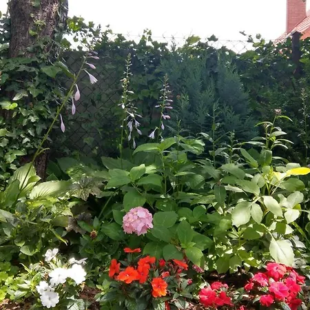 Kamien Baltyku Privatunterkunft *