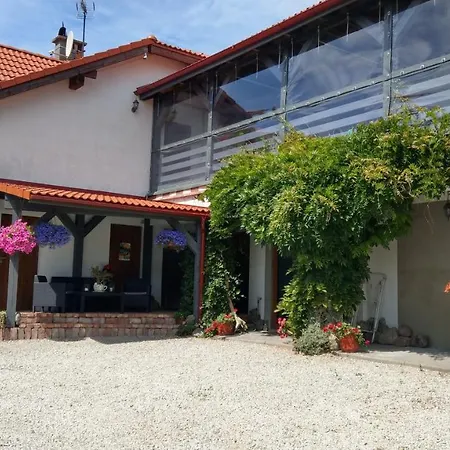 Kamien Baltyku Debina (Ustka)