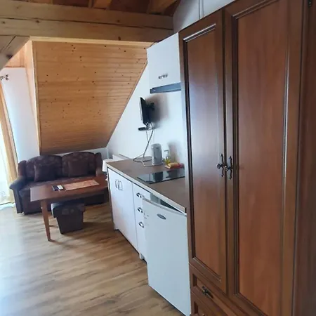 Kamien Baltyku * Debina (Ustka)