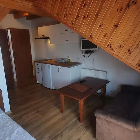 Kamien Baltyku Debina (Ustka)