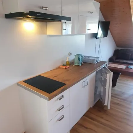 Kamien Baltyku * Debina (Ustka)