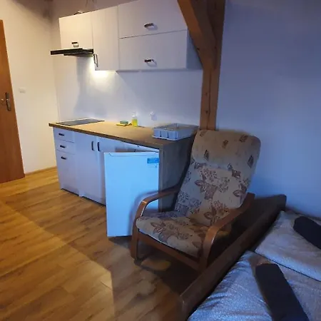 Kamien Baltyku Debina (Ustka)