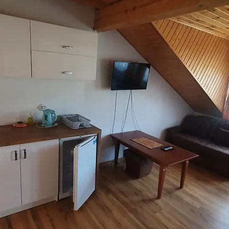 Kamien Baltyku Debina (Ustka)