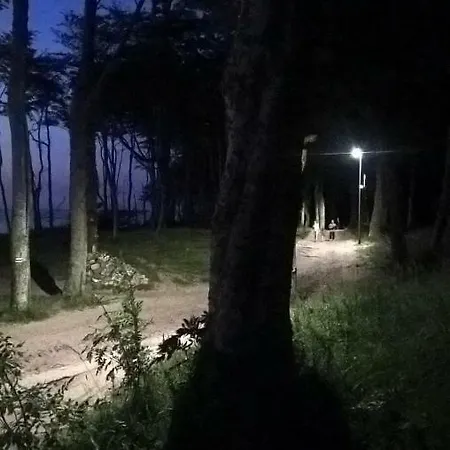 Kamien Baltyku Rum i privatbostad *