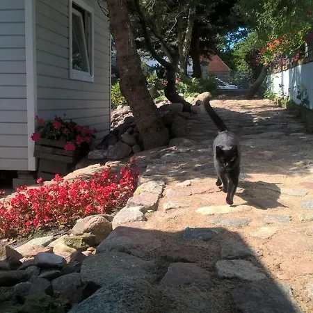 Kamien Baltyku Privatunterkunft Debina (Ustka)