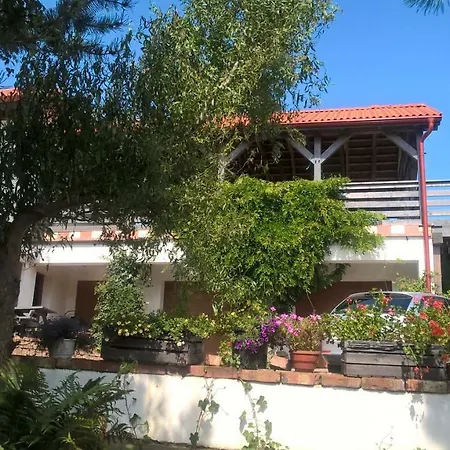 Kamien Baltyku * Debina (Ustka)