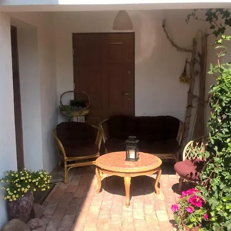 Kamien Baltyku * Debina (Ustka)