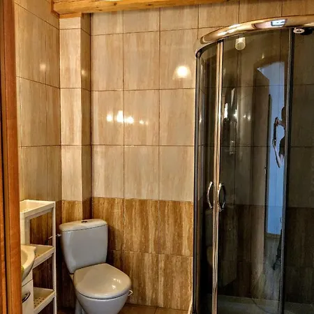 Kamien Baltyku * Debina (Ustka)