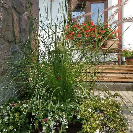 Kamien Baltyku Debina (Ustka)