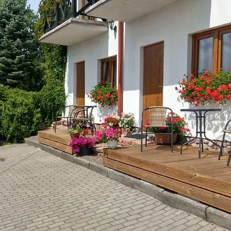 Kamien Baltyku Debina (Ustka)