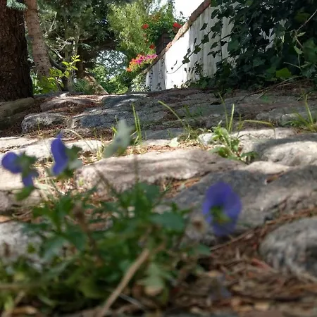 Privatunterkunft Kamien Baltyku