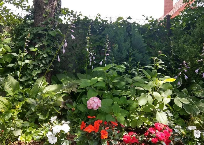 Kamien Baltyku Ubytování v soukromí *