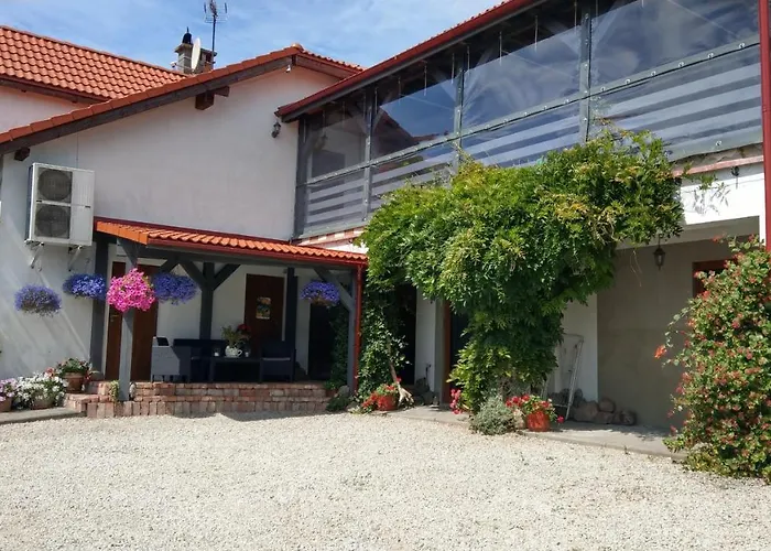 Kamien Baltyku Debina (Ustka)