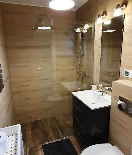 Kamien Baltyku * Debina (Ustka)