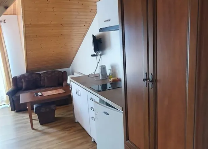 Kamien Baltyku * Debina (Ustka)