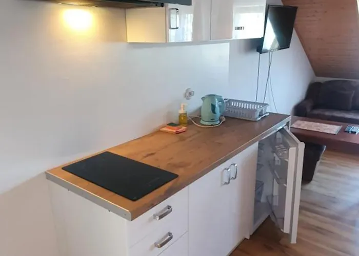 Kamien Baltyku * Debina (Ustka)