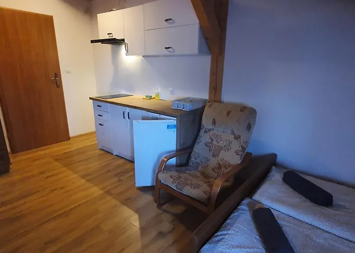 Kamien Baltyku Debina (Ustka)