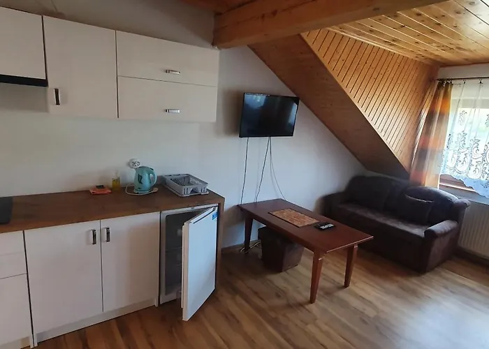 Kamien Baltyku Debina (Ustka)