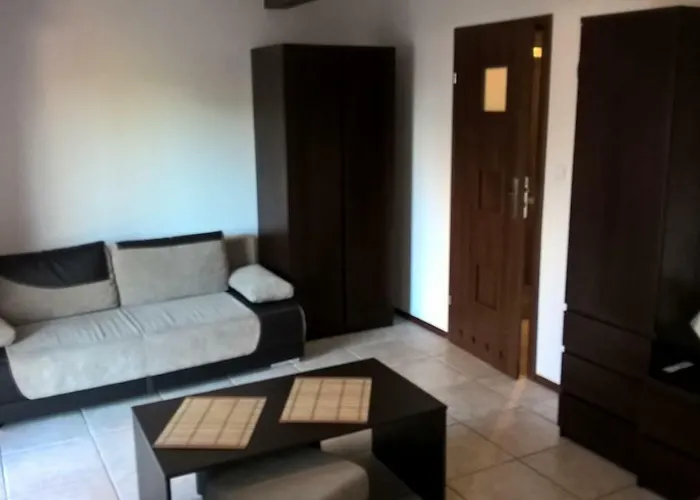 Kamien Baltyku * Debina (Ustka)