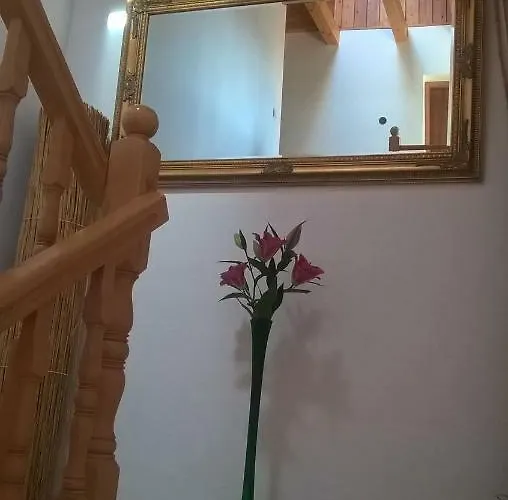 Kamien Baltyku Debina (Ustka)