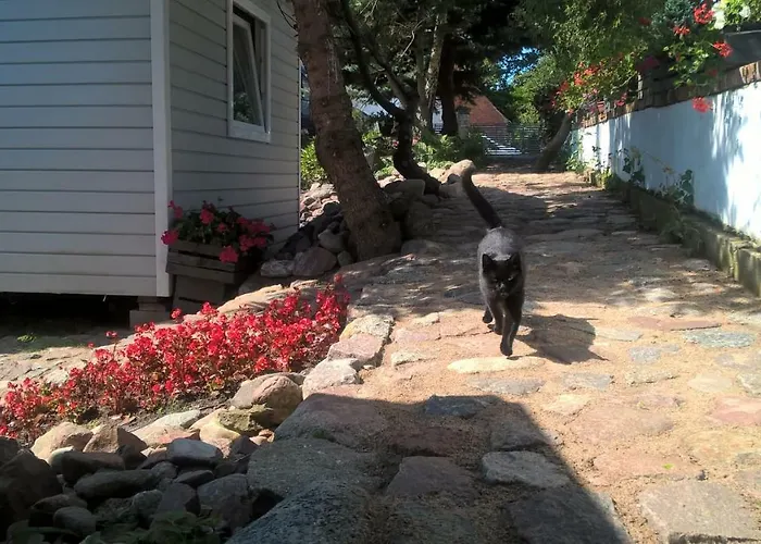 Kamien Baltyku Ubytování v soukromí Debina (Ustka)