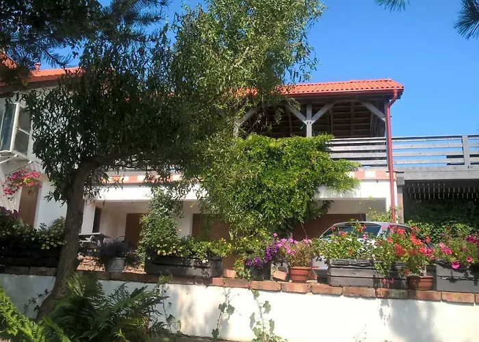 Kamien Baltyku * Debina (Ustka)