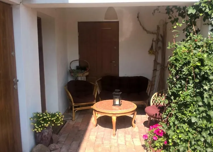 Kamien Baltyku * Debina (Ustka)