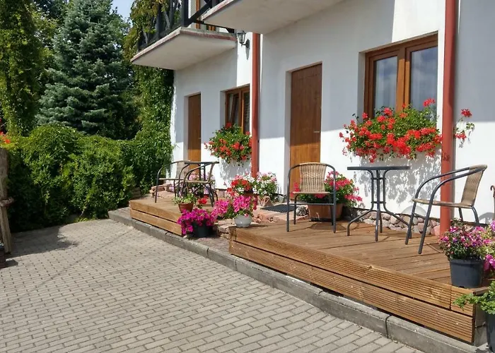 Kamien Baltyku Debina (Ustka)